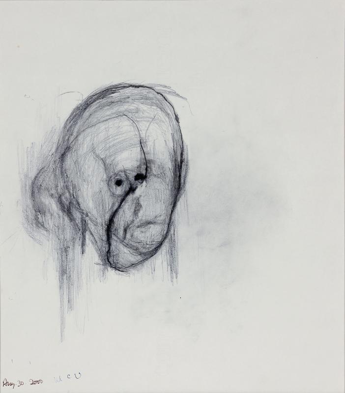 2000_utermohlen_head_i_aug_30_2000_pencil_on_paper_40.5_x_33_cm_jc_ballot-60_giclee_prints_md_-_copie.jpg