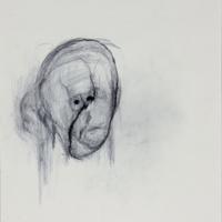 2000_utermohlen_head_i_aug_30_2000_pencil_on_paper_40.5_x_33_cm_jc_ballot-60_giclee_prints_md_-_copie.jpg